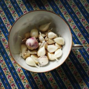 All of this year's garlic. The cloves are quite tiny, except the one freaky bulb that's one single clove. Last year all my garlic died in the spring, so this year has been a great success!
